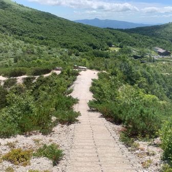 登山届ボックス手前の長い階段💦