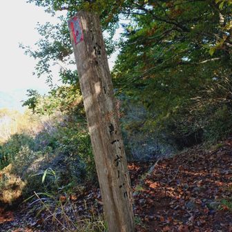 かすれているけど、戸倉山山頂（西峰）