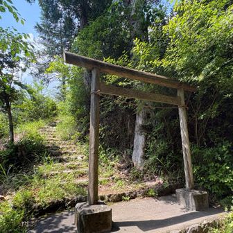何故か靖国鳥居⛩️？笠木の小口が斜めっぽいので鹿島鳥居との合作か､､､
