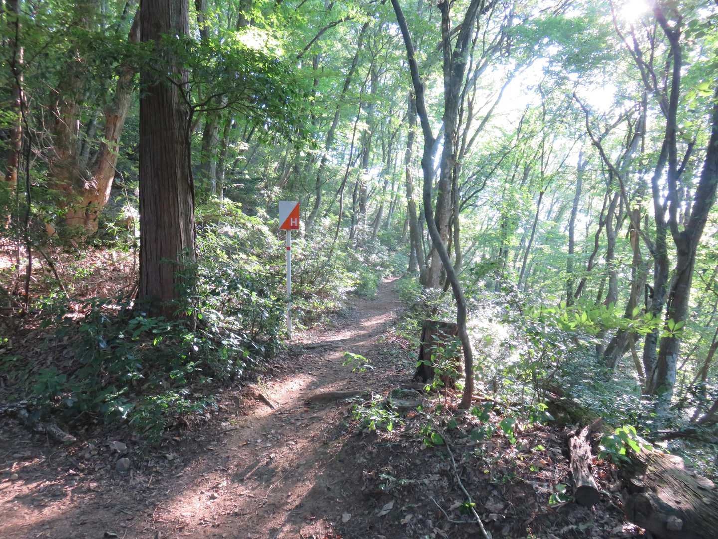 Hコースへ