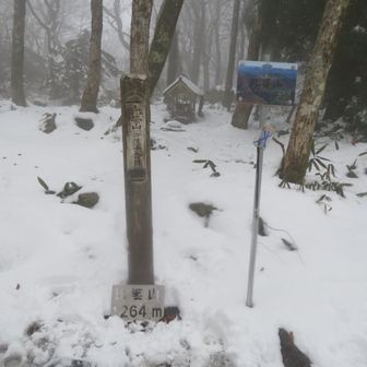 眺望のない比婆山。