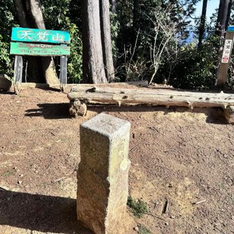 天覚山ピーク！の三角点！