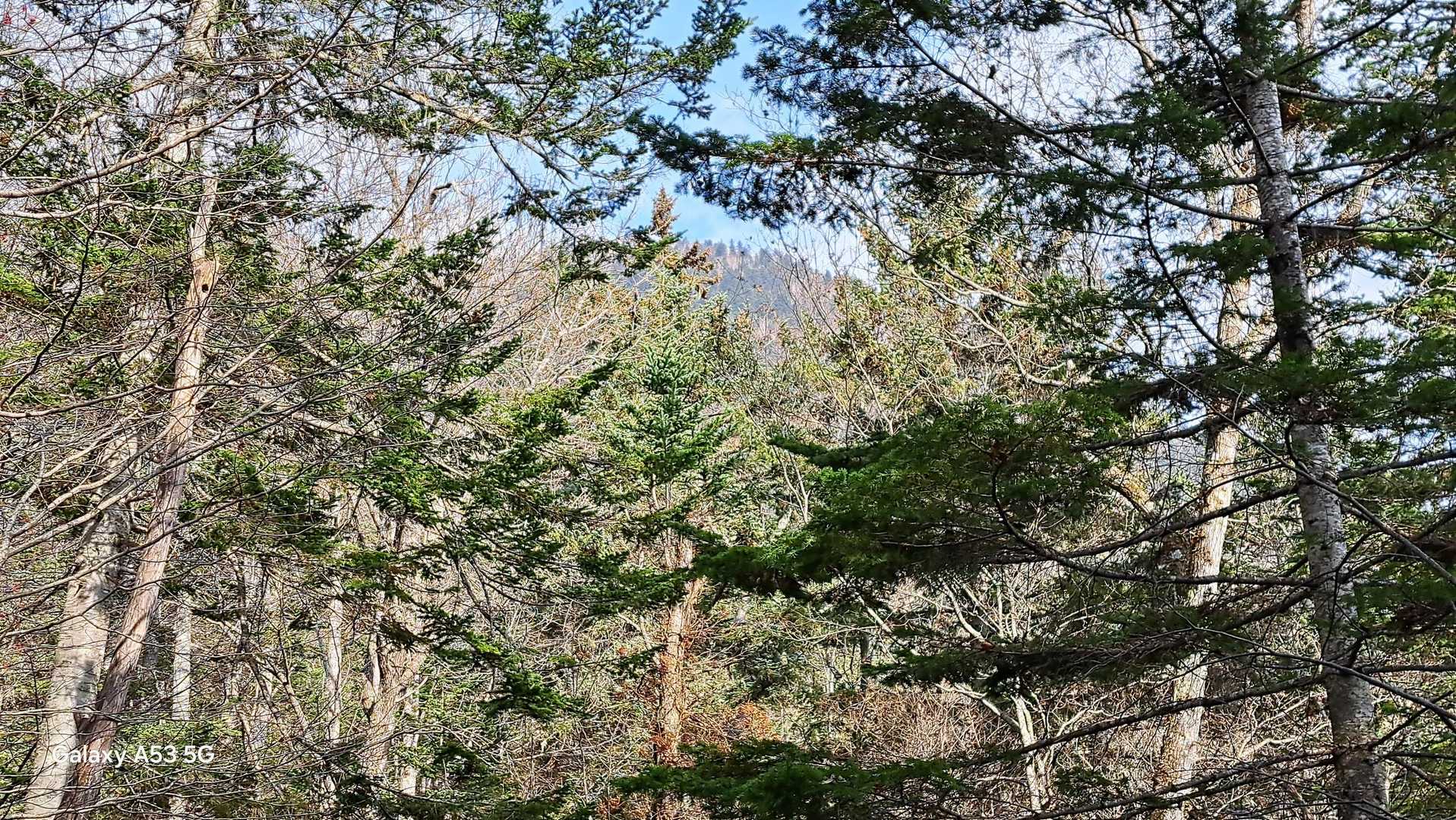 チラッと山頂