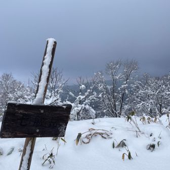 駒ヶ岳は見えず…😫