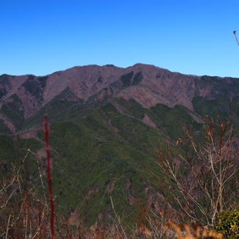 今回の登山で眺望の得られたポイントは2箇所しかなく、1箇所目は三ツ森北峰、そして2箇所目がここ、坪山でした。目の前には三頭山のパノラマ。
