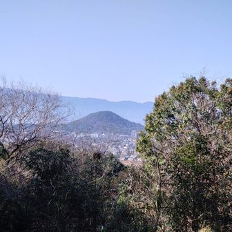 香久山から畝傍山を見ています。