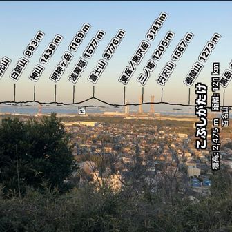 こんな感じに見えてます