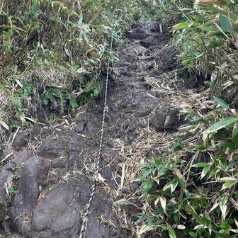 経ヶ岳・法恩寺山 ロープ場