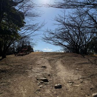 頂上への道は開放感がありまくりで