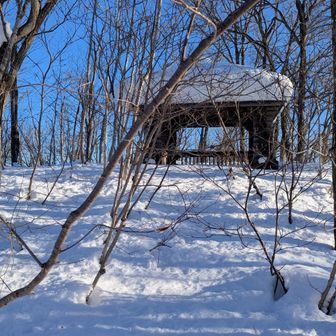 女亀森の山頂に眺望なし