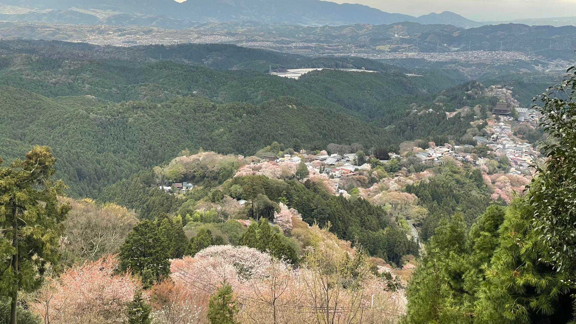 韋駄天山-吉野水分神社-吉野駅 縦走コースの写真