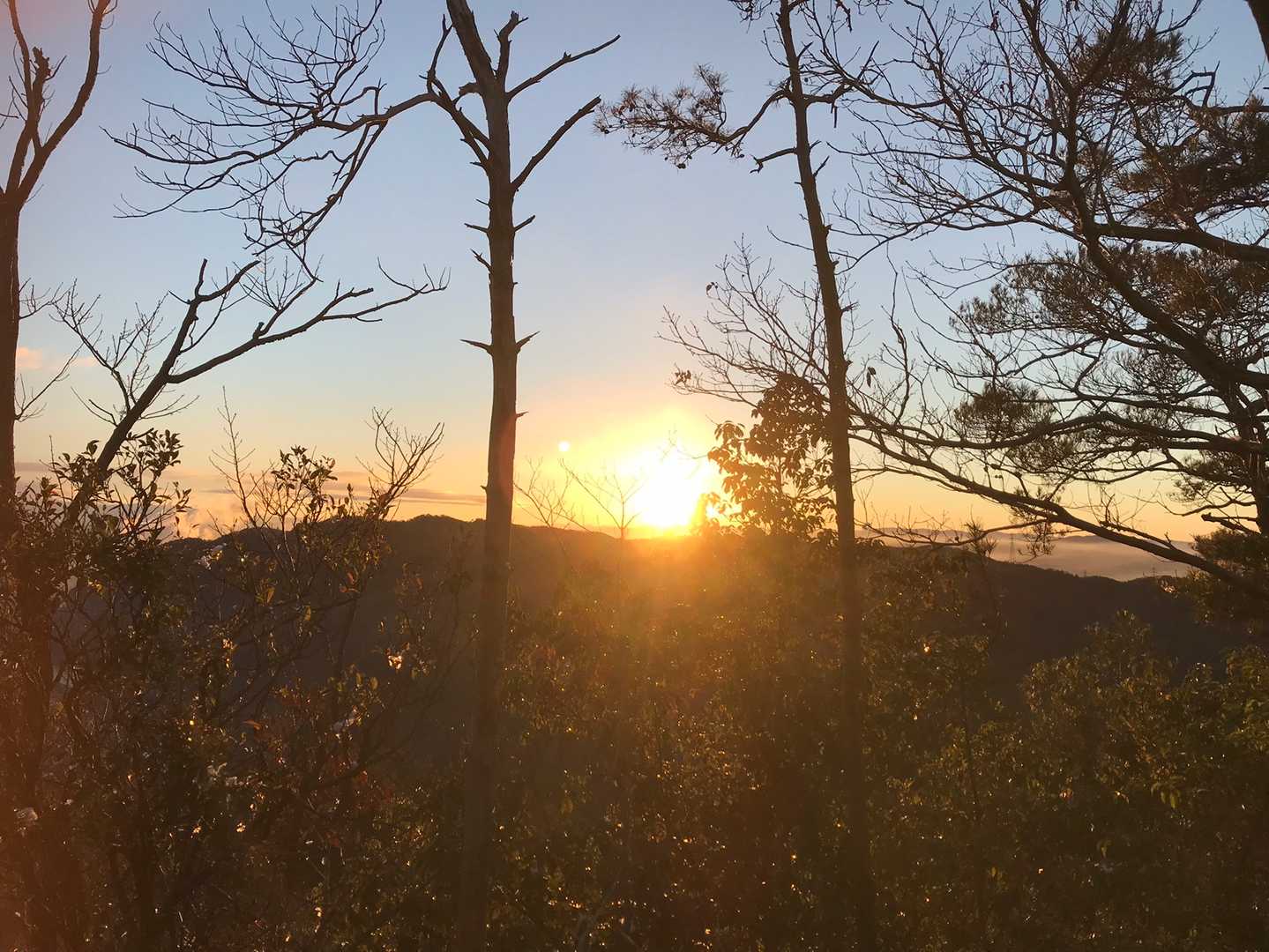 城山-明王山-勝山 周回コースの写真