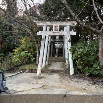 小さな鳥居⛩️をくぐって行きます。