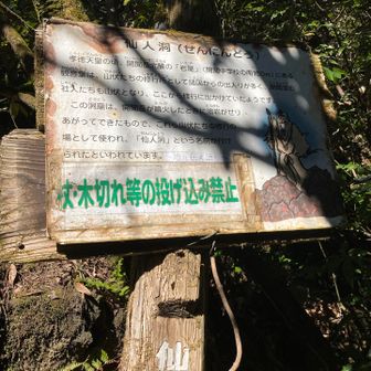 仙人洞。洞窟。