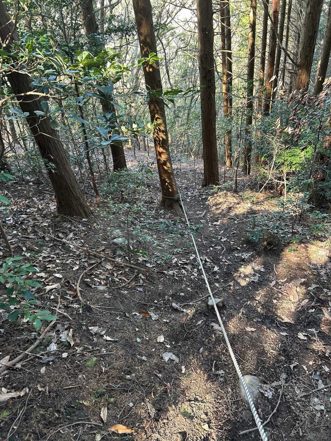下りはロープがずっとあって助かりました。