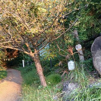 登山口