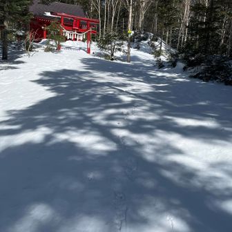 昨日雪降った様で表面はふかふか☃️