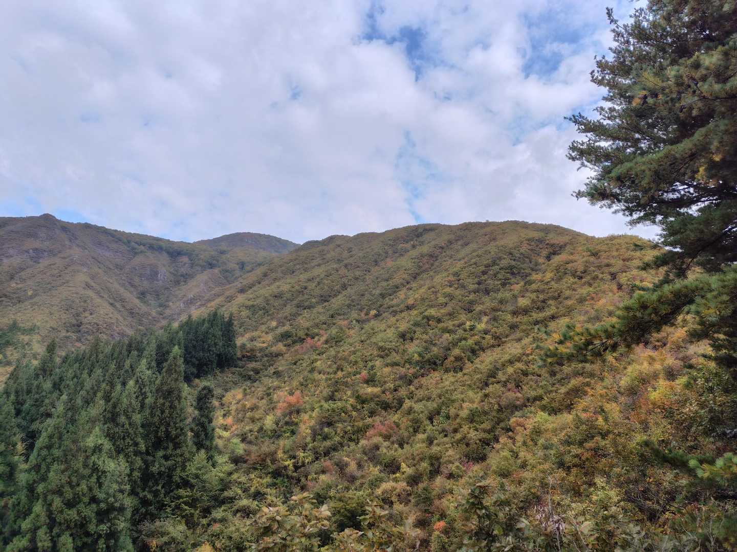 一合目から下権現堂山頂とそこへ登る尾根☝️
色付き始めってとこですかね🍁