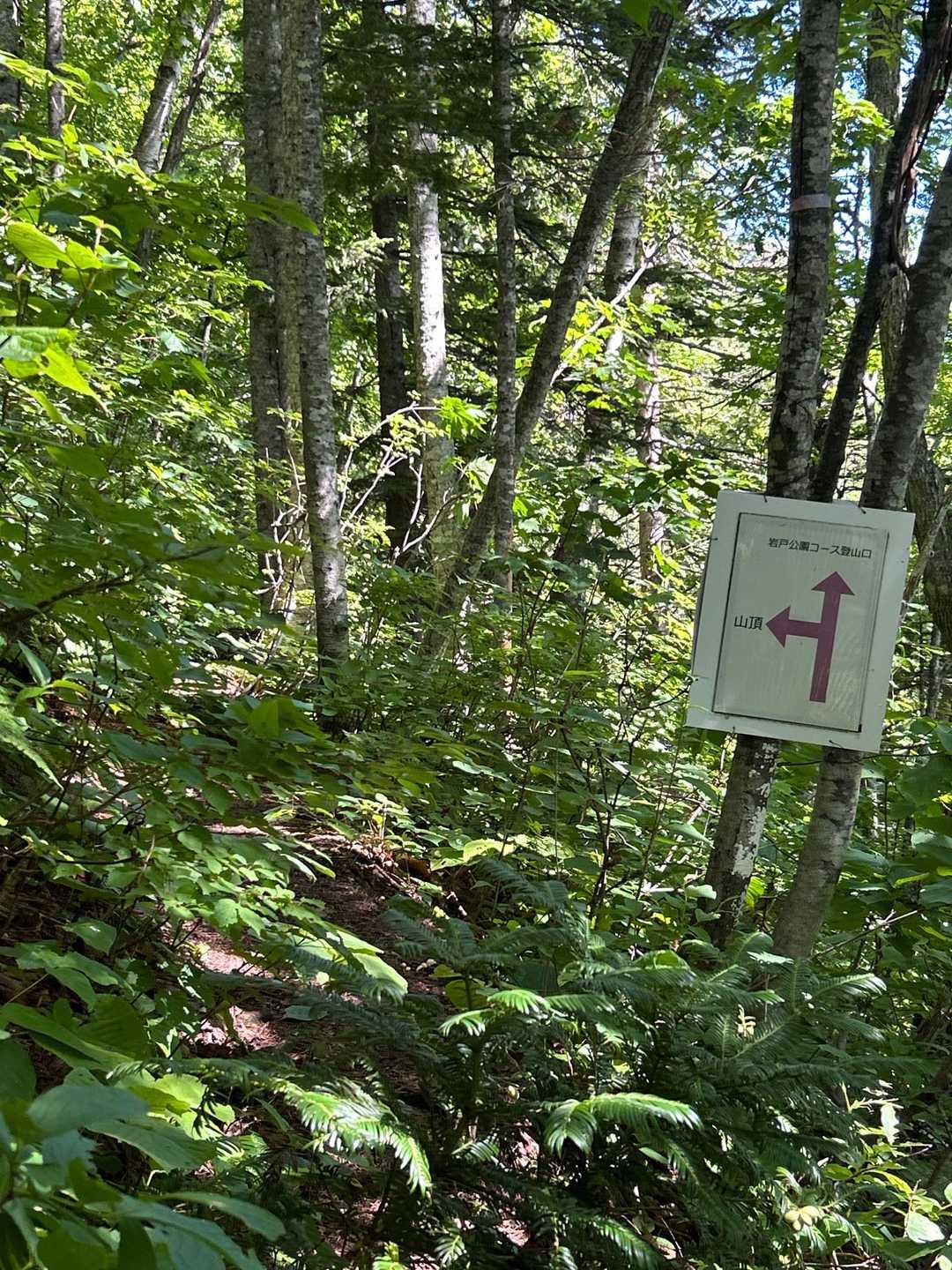 朝日岳登山口-朝日岳-豊林荘コース登山口 縦走コースの写真