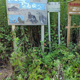 鎮山山頂