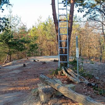 反対側からの山頂です
アルミの梯子は何のため❓️