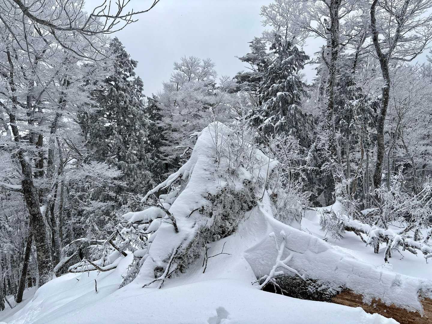 『天女の頂』に戻ってきた💨