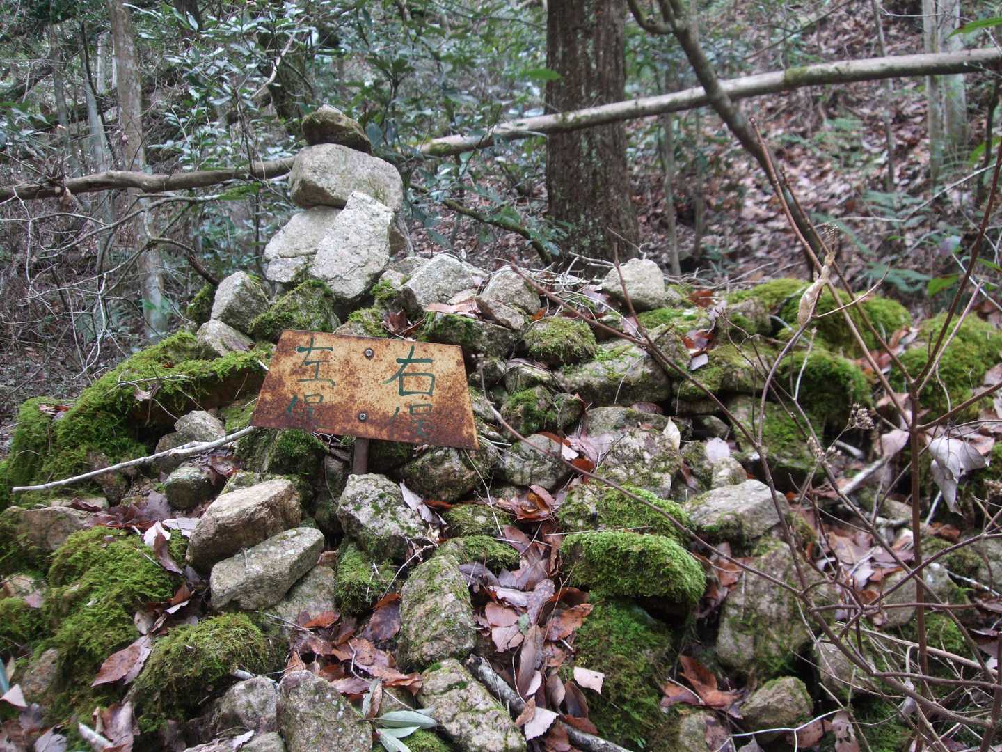 ここを右側に行くも直ぐに引き返す。左手ですね～