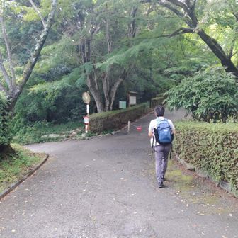 なので近くのコンビニ検索→30分程
優しい旦那様は
買いに行くかぁと連れて行ってくれましたが
購入し、これから戻って登山開始になると既に11時、お腹空いてきたのに山頂でランチ　だとすると13時かぁ
→　山変えよう！