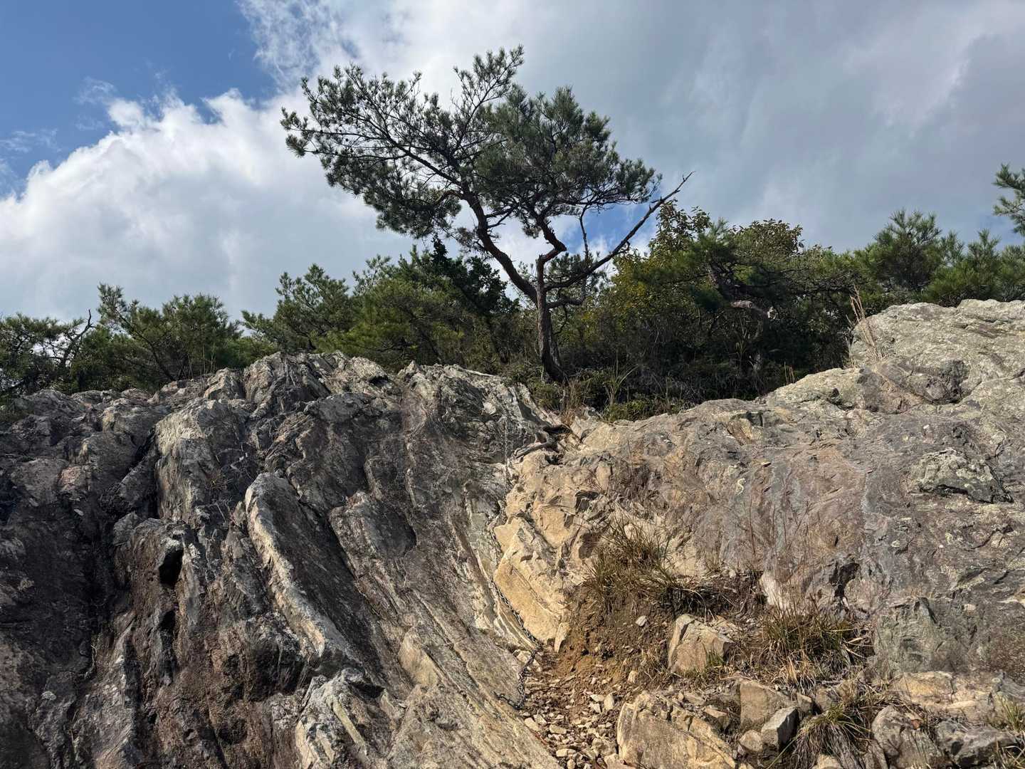 岩屋谷公園登山口-天下台山-えぼし岩-北尾根登山口 周回コースの写真
