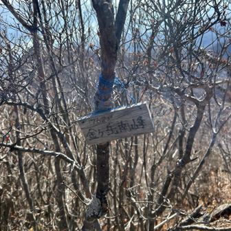 少し戻って南峰！標識ちっさ！
これは見落とすよね🤣