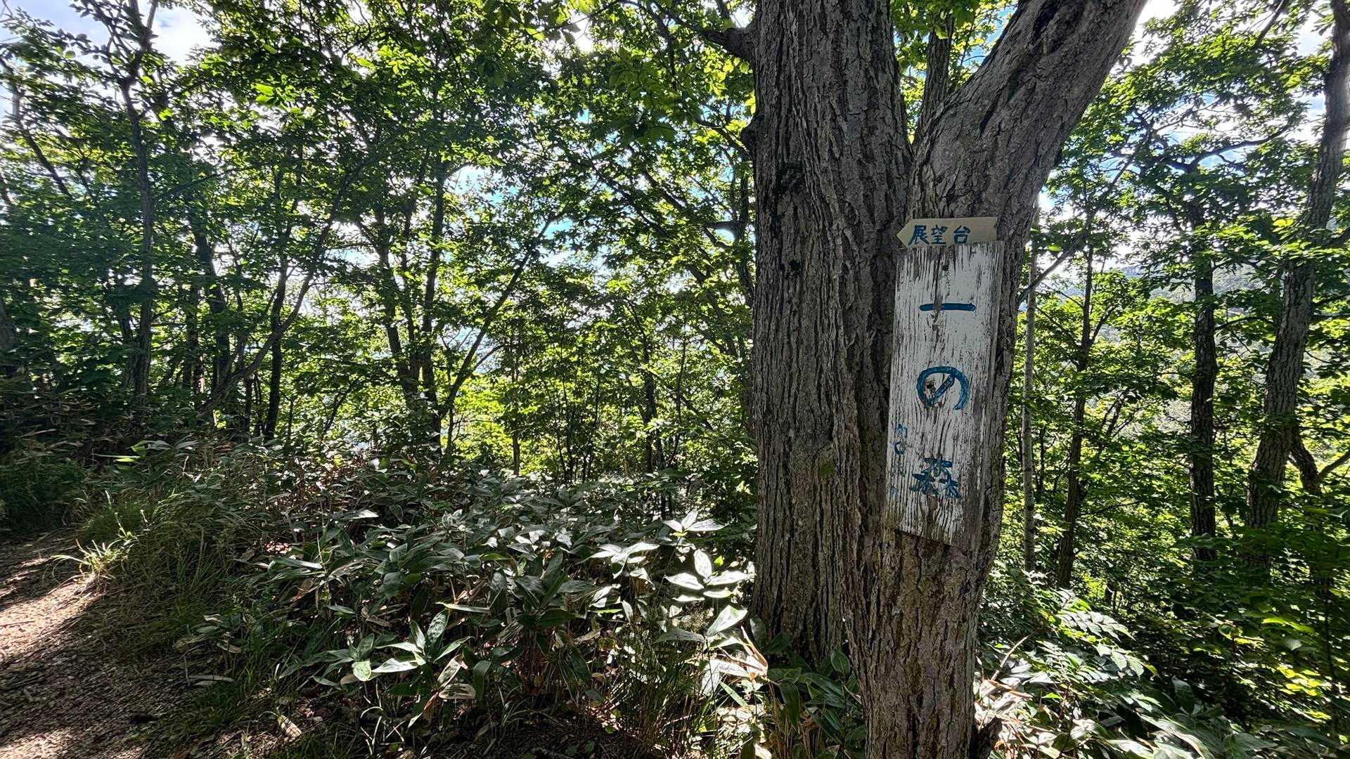 140歩👣