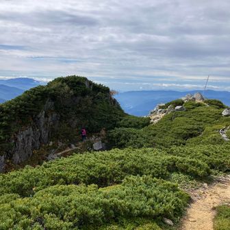 木曽前岳山頂がわからず、少しぐるっと回って戻ってきました😅