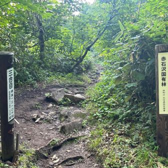 三合目からスタートできる
小赤沢コースをリクエスト▶️

都内某所3:00出発 
三合目登山口6:45到着
長距離運転ありがとうございました🙏
