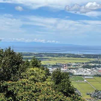海の向こうに佐渡島✨
大きすぎる😮