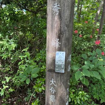 ここが本当の秀峰のピークです⛰️
五座目⛰️秀峰登頂です