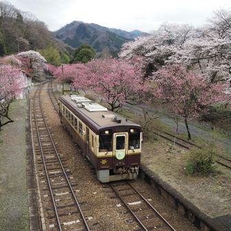 来た来た
今度の車両は500形かな