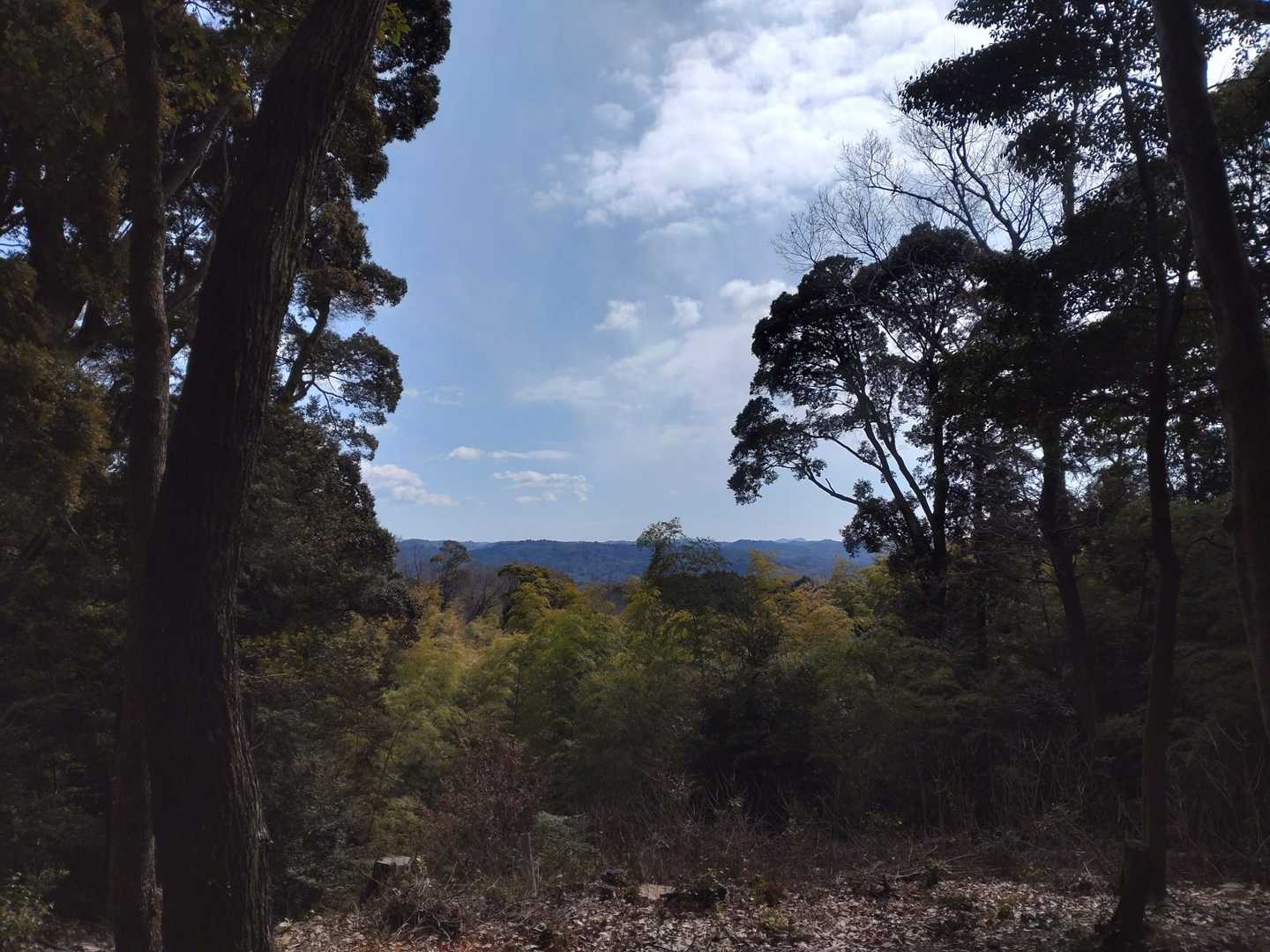 山頂は東側が開けてました。