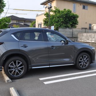 ブルーノマおやじ