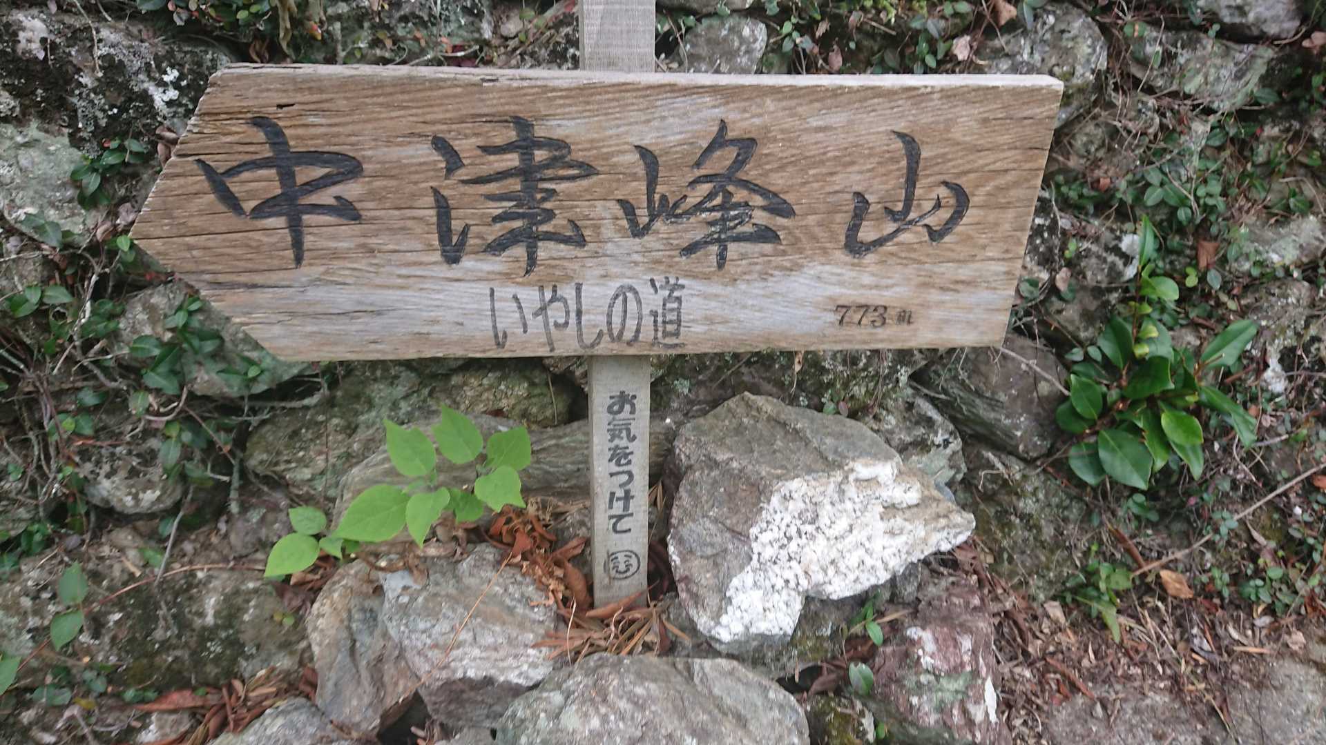 無事に下山👍