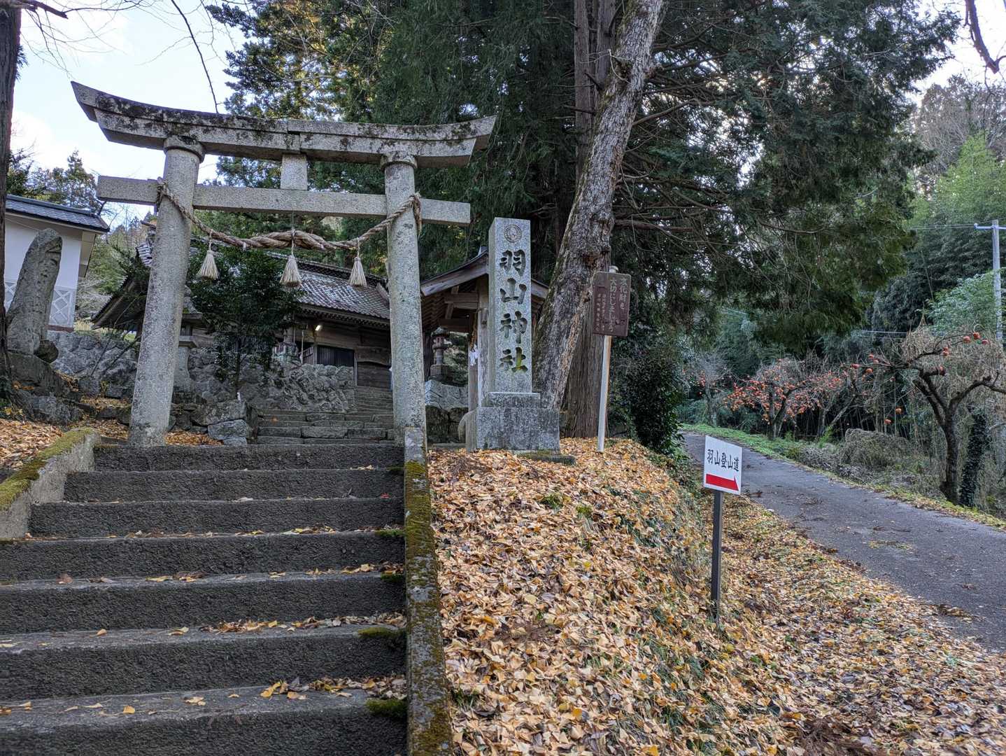 少し歩くと…羽山神社🙏🙏
舗装路と林道を歩き…