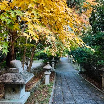 早尾神社まで戻りました
ゆるいと思った帰りの方が距離も長く累積標高も多かった💦