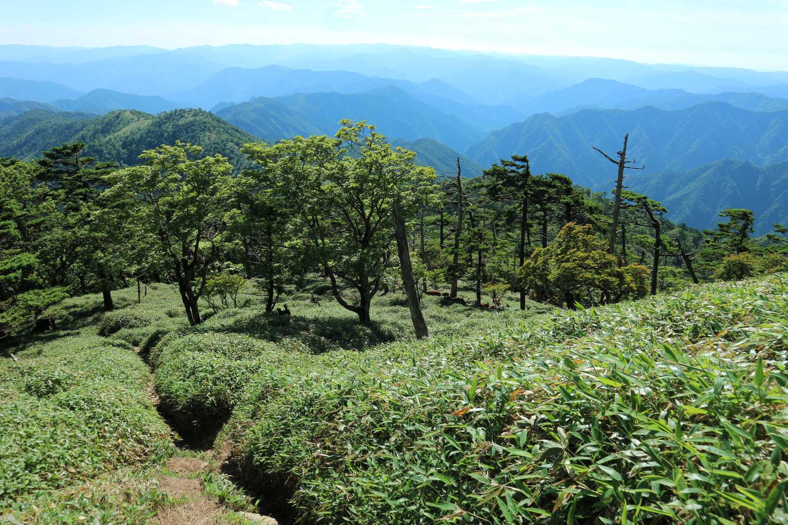 釈迦ヶ岳 往復コースの写真