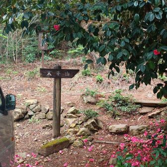 工事👷‍♂️で入口に車が何台かありますが多分行っていいよね
何も言われなかったし
迂回したし…