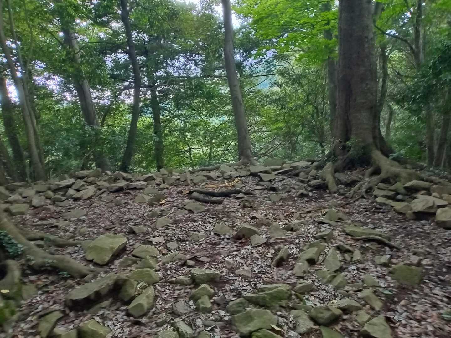 天守閣跡-北高尾富士見台-板当山-板当峠-狐塚峠-杉ノ丸- 縦走コースの写真