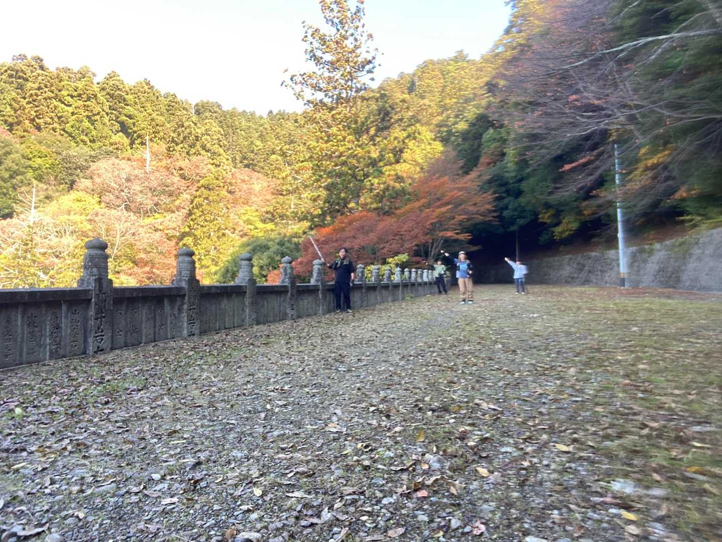 ⛩️すぎて紅葉🍁バッチリ🍁📸