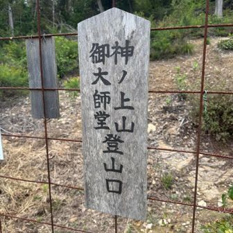 下山完了
ここからはロード