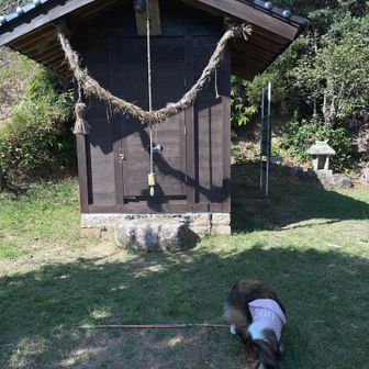 焼火神社から帰ります。