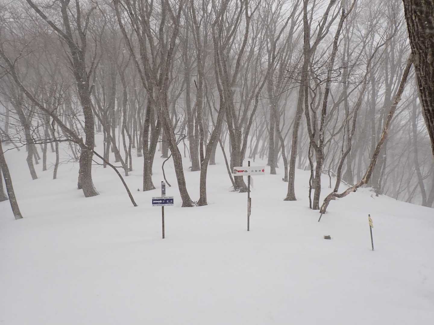風雪でノートレース