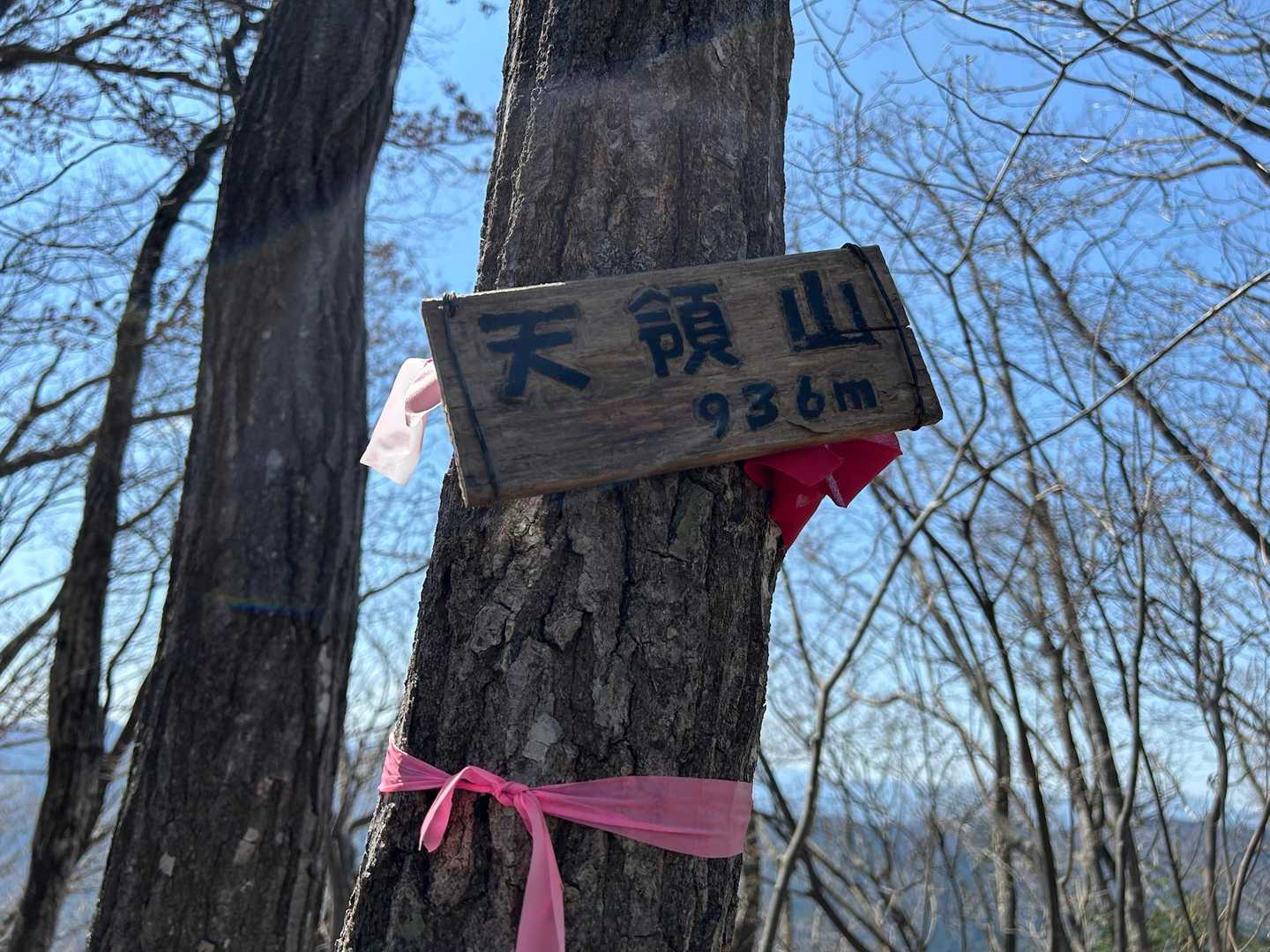 ピーク到着