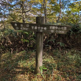 あと0.5km。